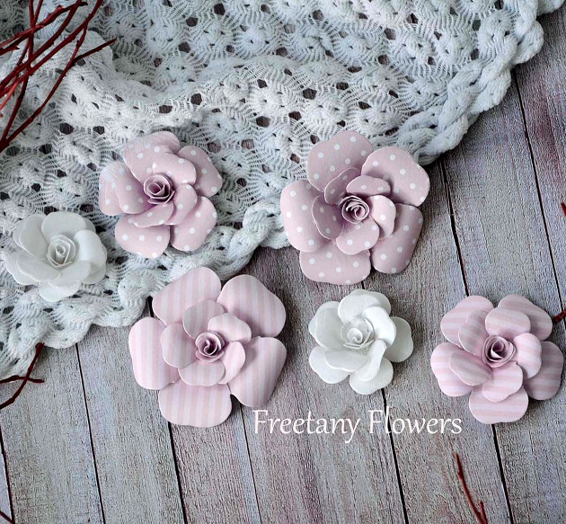 Набір кольорів Baby Girl, 6 шт від Freetany Flowers