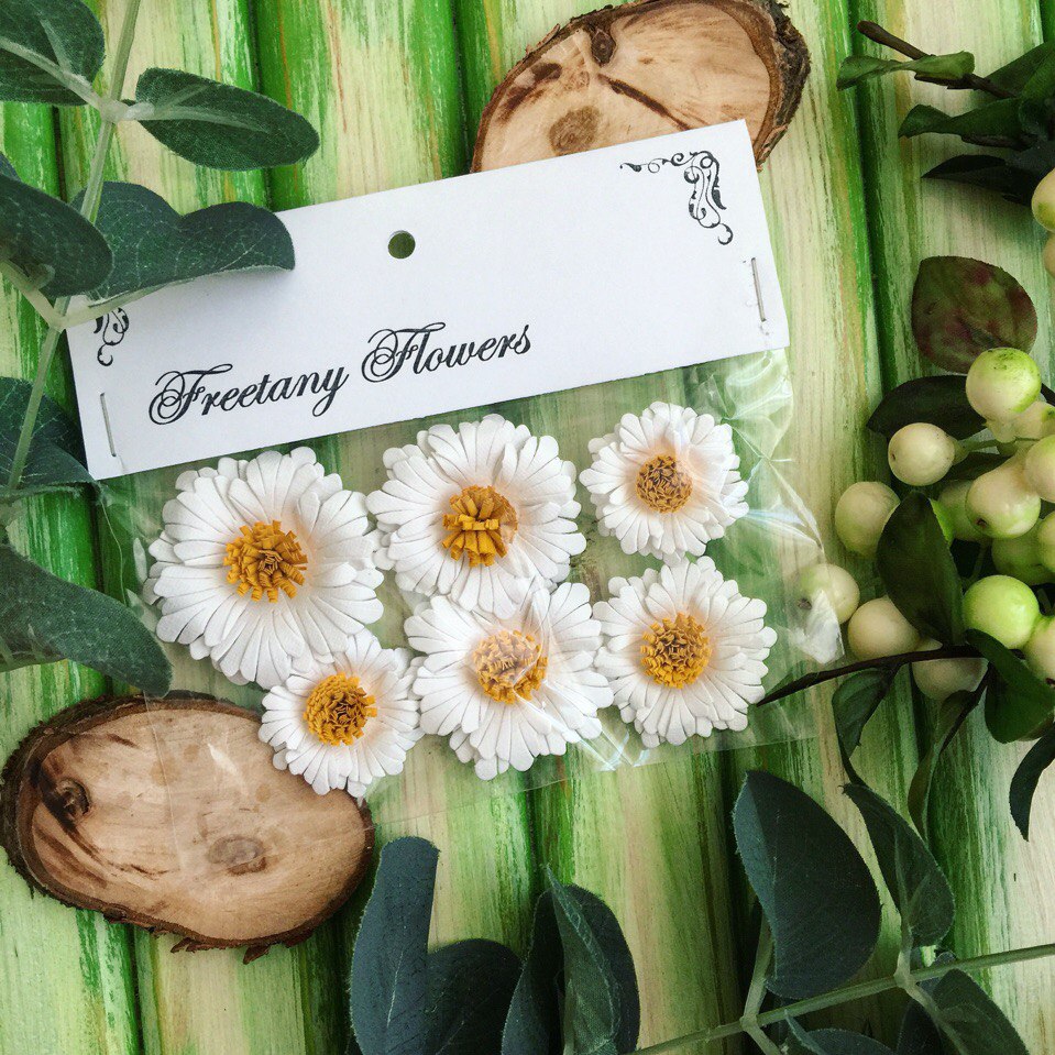 Набор цветов Ромашки, 6 шт от Freetany Flowers