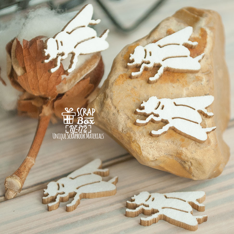 Чіпборд набір з 5-ти мух, 20 * 12 мм від Scrapbox