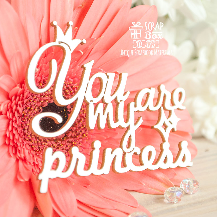 Чипборд надпись "You are my princess", 64*57 мм от Scrapbox