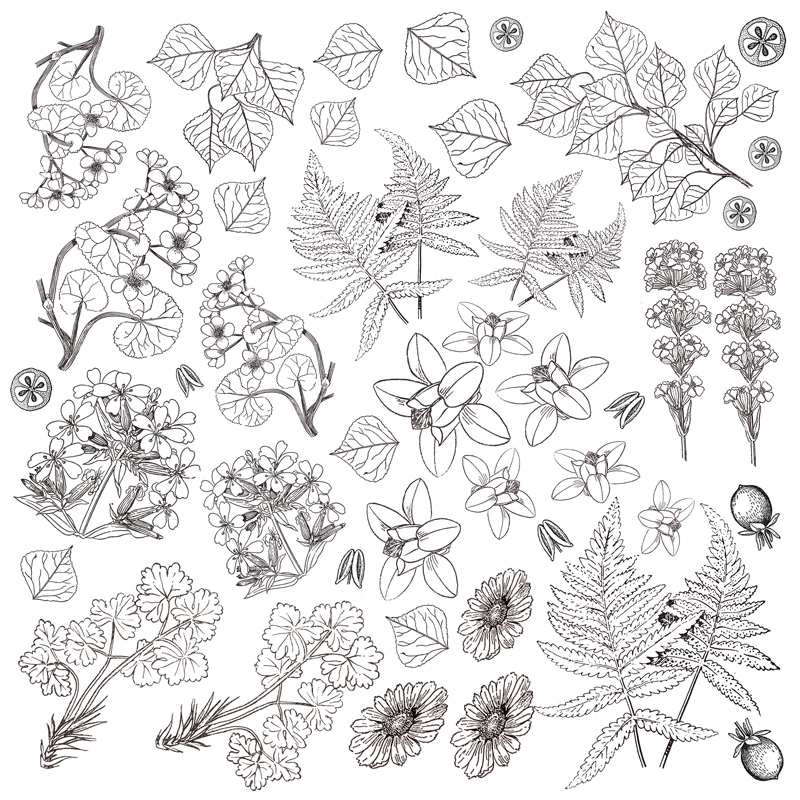 Лист для для раскрашивания маркерами Botany summer 30,5x30,5 Фабрика Декора