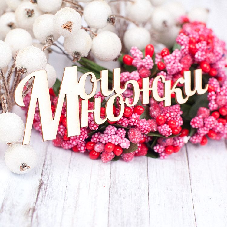 Чипборд Мои ножки 83*28мм vl1584