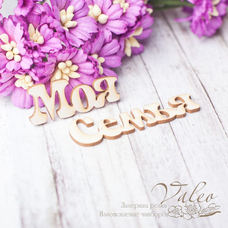 Чіпборд Моя сім'я 34 * 14мм 48 * 14мм 2466 Valeo