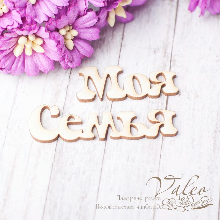 Чіпборд Моя сім'я 34 * 14мм 48 * 14мм 2466 Valeo