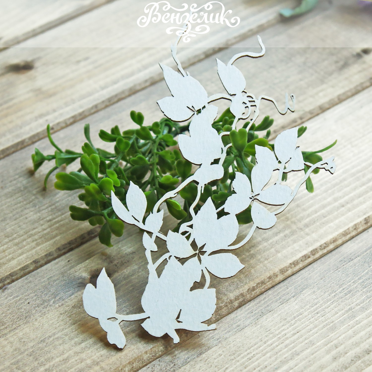 Чіпборд Гілочка 24 84 * 148мм