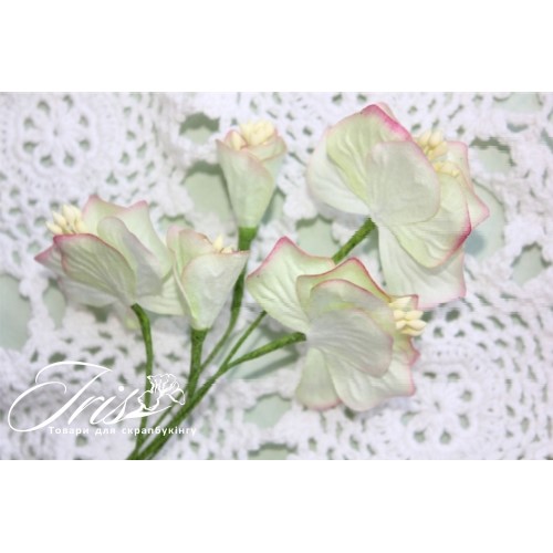 Набор цветов Vanille flowers Оттенки весны Iris, 5 шт