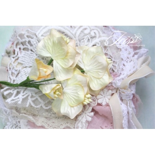 Набір кольорів Vanille flowers Сонячний день Iris, 5 шт
