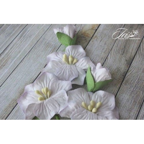 Набір кольорів Blossom Iris, бузкові, 5 шт