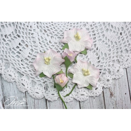 Набір кольорів Blossom Iris, рожевого кольору, 5 шт