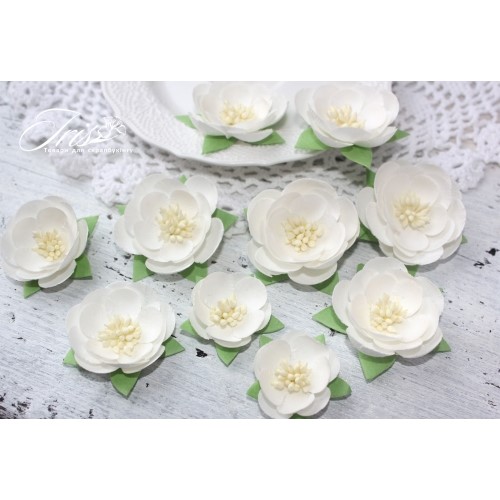 Набір кольорів Dessert Ніжний білий Iris, 25-45 мм, 10 шт