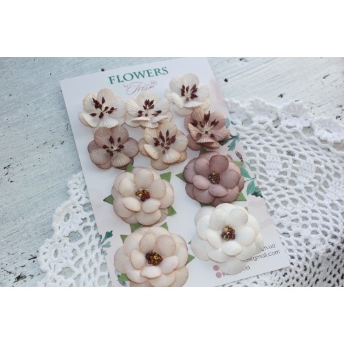 Набір кольорів Monsella brown Iris, 30-50 мм, 10 шт
