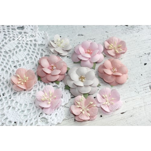 Набір кольорів Monsella grey-pink Iris, 30-50 мм, 10 шт