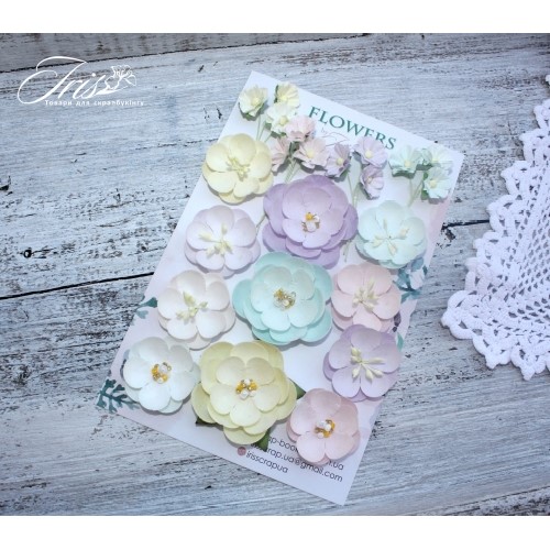 Набор цветов Anemone Baby Shabby, 1.5-4 см, 23 шт