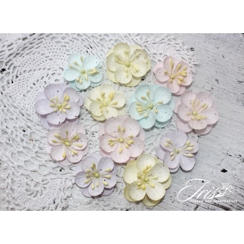 Набір кольорів Denise Baby Shabby Iris, 33-40 мм, 12 шт