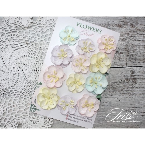 Набір кольорів Denise Baby Shabby Iris, 33-40 мм, 12 шт