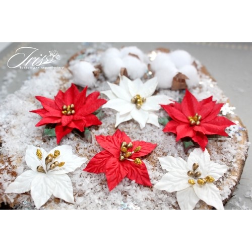 Набір кольорів і декору Cortez Red and white Iris, 9 шт