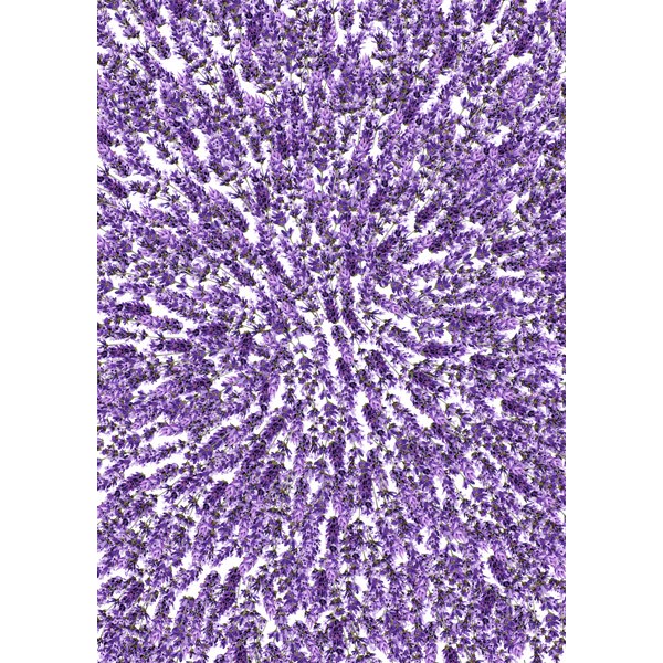 Оверлей Lavender Provence, 20х30 см, Фабрика Декору