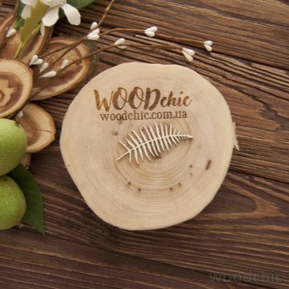 Чипборд Ветка папоротник WOODChic