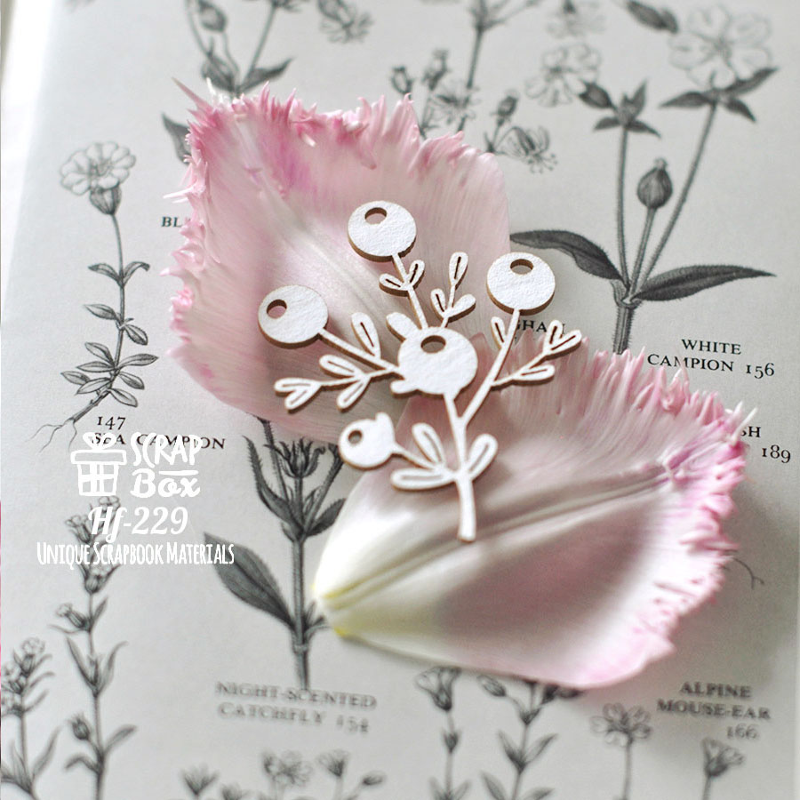 Чіпборд велика гілочка чорниці Hf-229, Scrapbox