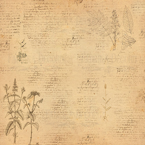 Лист двуст. бумаги Botany summer #17-03