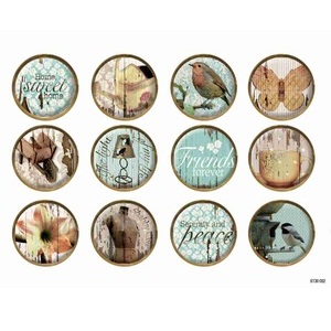 Набір наклейок Shabby Shic, 12 шт.от Fabscraps