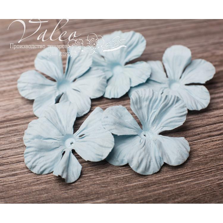 Декоративные бумажные Полевые цветы 50*50мм 5шт цвет голубой 2912 Valeo