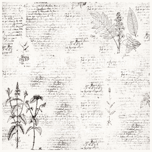 Деко веллум (лист кальки с рисунком) Botany Spring А3, Фабрика Декора