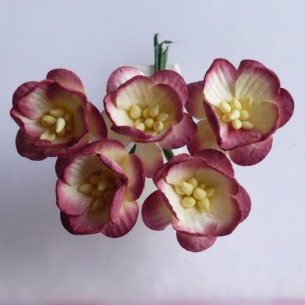 Набор 5 декоративных цветков вишни цвета светлого бургунди
