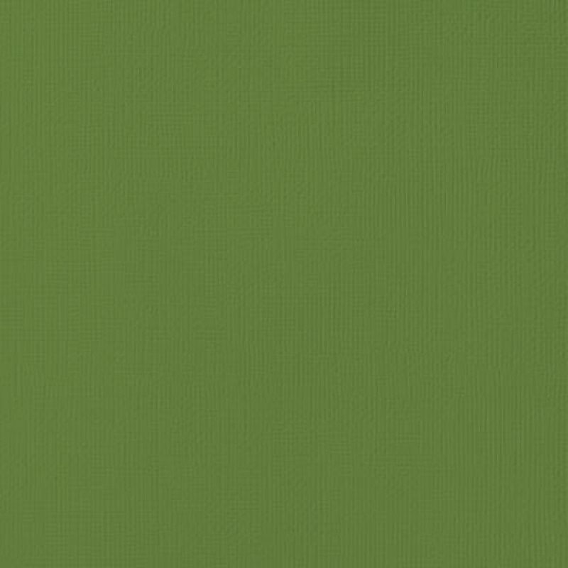 Лист кольорового кардстока Spinach 30х30 см від American Crafts