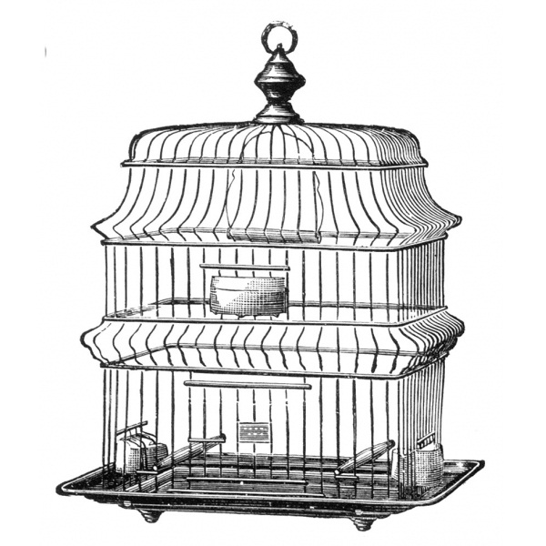 Силиконовый штамп Wire Bird Cage, La Blanche, 7,5х7,5 см