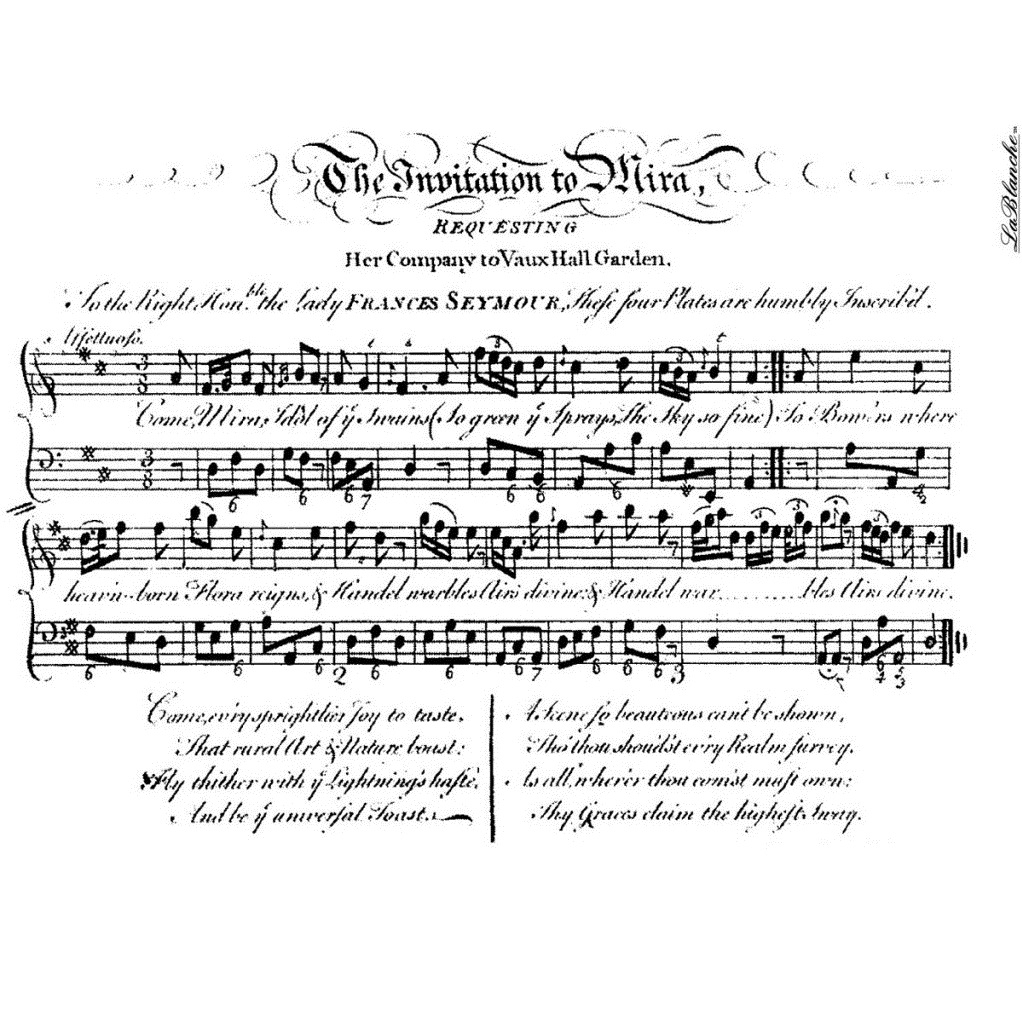 Силиконовый штамп The Invitation of Mira, La Blanche, 10х14 см