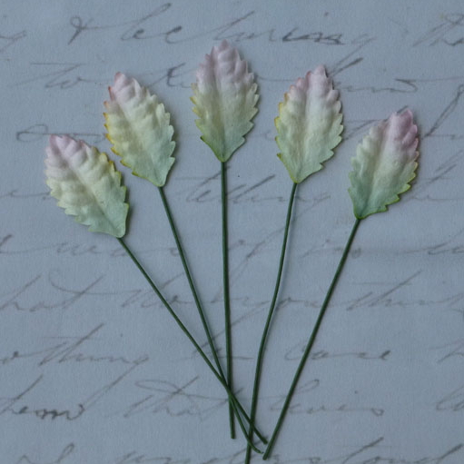 Набор 10 декоративных листиков бело-зеленого цвета размером 25 мм