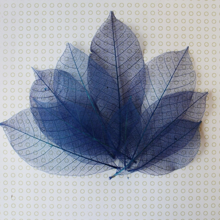 Набір скелетовані листочків синього кольору 10 шт., 10 см