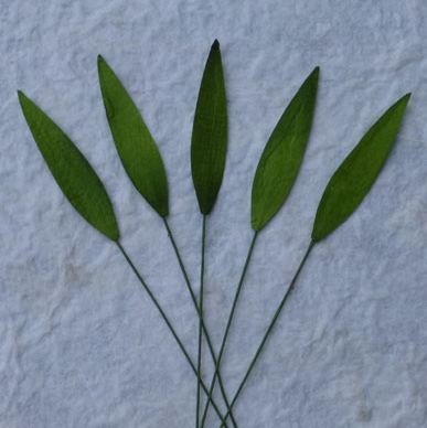 Набір 10 листочків Green Medium Grass