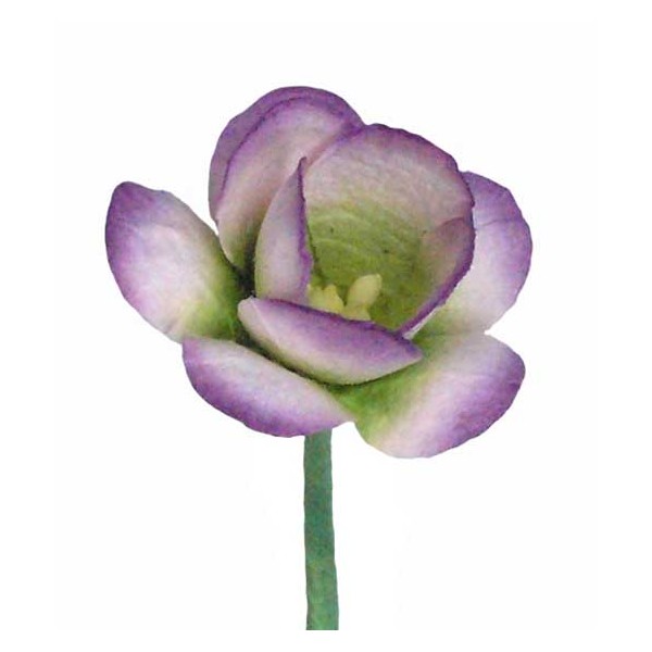 Набор 5 декоративных цветков вишни Purple/Green, 3 см