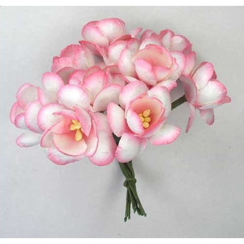 Набір 5 декоративних квіток вишні Pink / White, 3 см