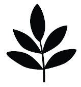 Фігурний дирокол Frond Branch від Martha Stewart