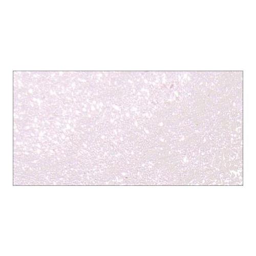 Фарба - спрей Radiant Rain Mist Pearl Lilac, Creative Imaginations