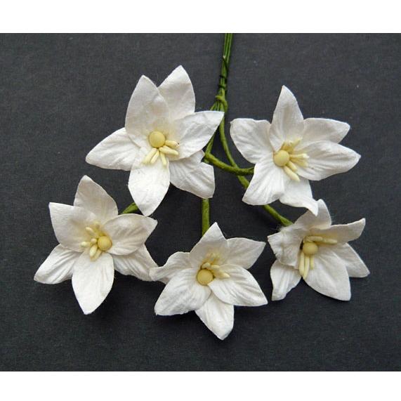Набор 5 цветков лилии белого цвета
