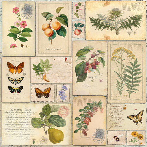Набір скраппаперу, Summer botanical diary, 10 аркушів, 30,5x30,5 см, Фабрика Декору