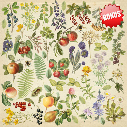 Набір скраппаперу, Summer botanical diary, 10 аркушів, 30,5x30,5 см, Фабрика Декору