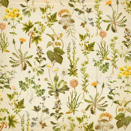 Набір скраппаперу, Summer botanical diary, 10 аркушів, 30,5x30,5 см, Фабрика Декору