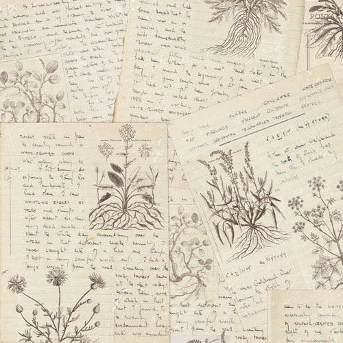 Набір скраппаперу, Summer botanical diary, 10 аркушів, 30,5x30,5 см, Фабрика Декору