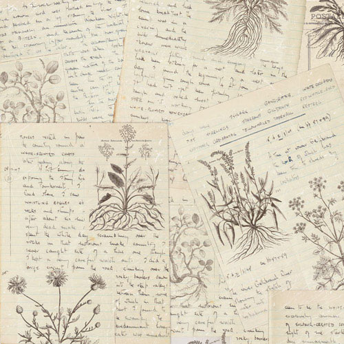 Набор скрапбумаги, Summer botanical diary, 10 листов, 20x20 см, Фабрика Декора
