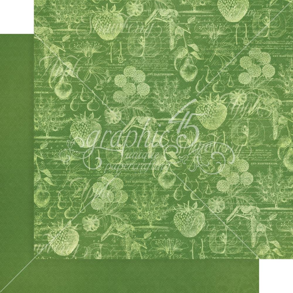 Набір фонового паперу для скрапбукінгу Fruit & Flora, 8 аркушів, 30х30 см, Graphic 45