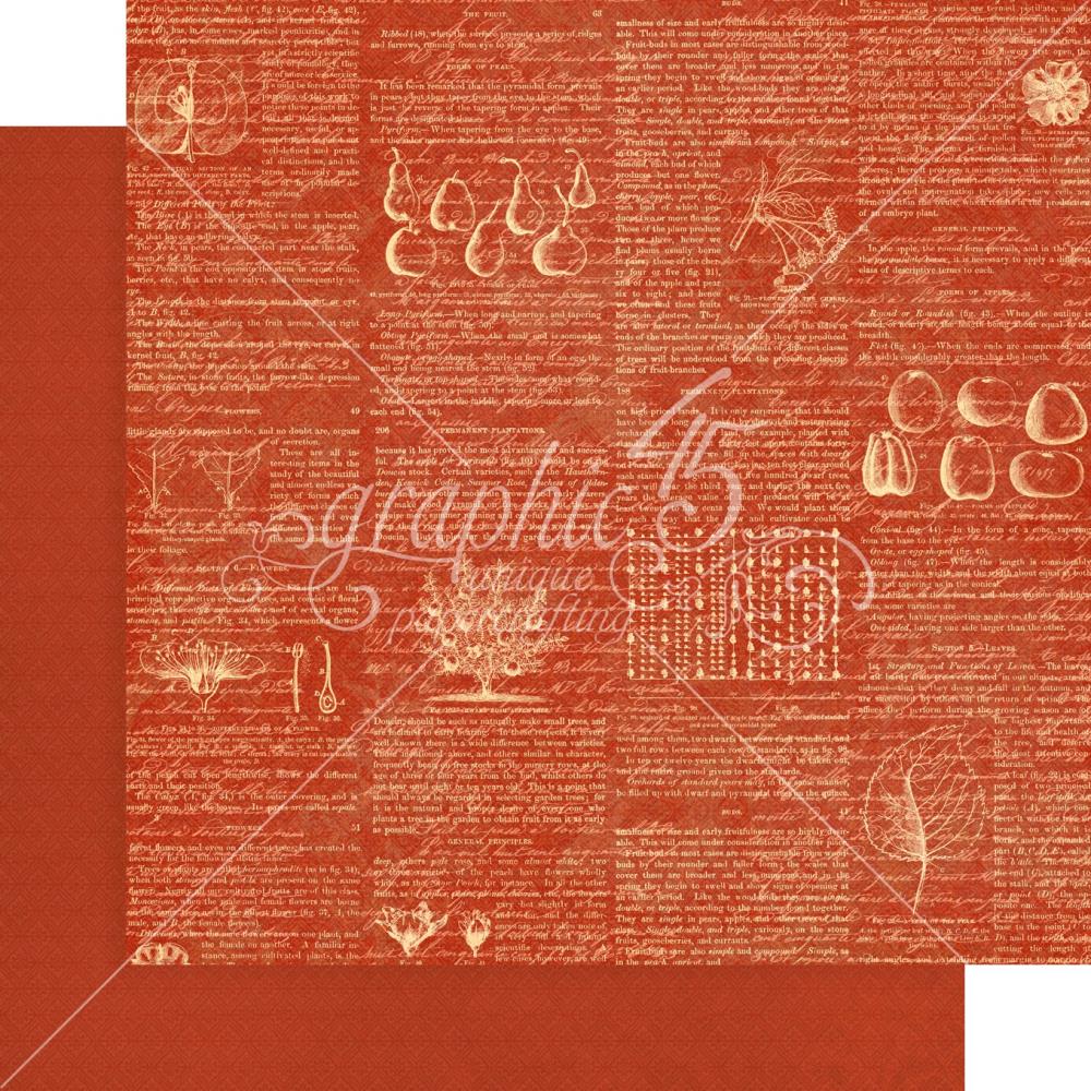 Набір фонового паперу для скрапбукінгу Fruit & Flora, 8 аркушів, 30х30 см, Graphic 45