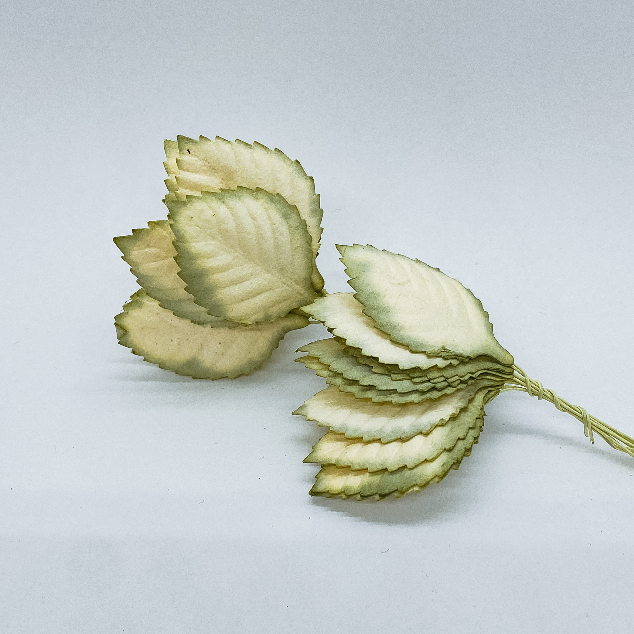 Набір листочків троянди блідо-зеленого кольору, 4 см, 10 шт