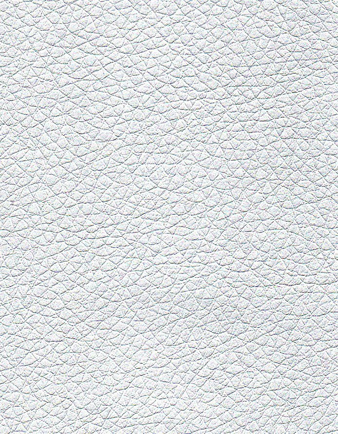 Текстурная переплетная экокожа Silver с перламутром 50х70 см