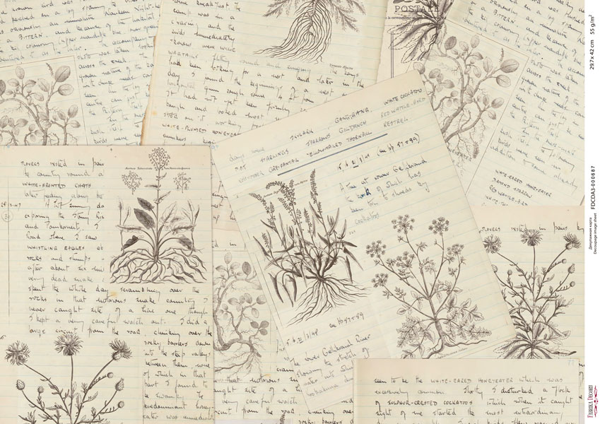 Декупажна карта # 000687, 29,7x42см, Фабрика Декору