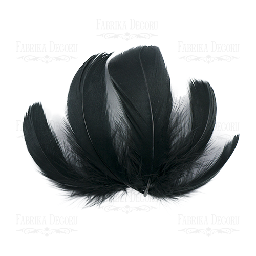 Набір пір'я максі Чорні від 6,5см до 12см, 10 шт., Фабрика Декору